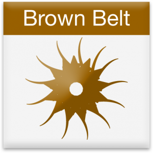 brown-belt-icon-large.preview